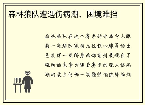 森林狼队遭遇伤病潮，困境难挡